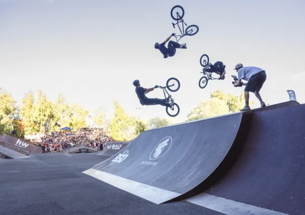 Web Butcher Jam 2026 3